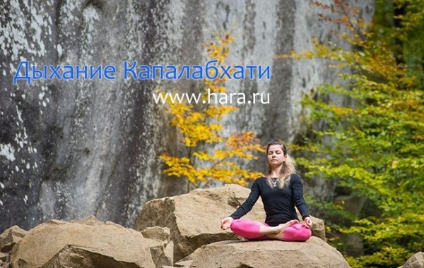 hararuYoga's tweet photo. Дыхание Капалабхати, очищающее организм 🧘‍♂

Дыхание Капалабхати, очищающее организм
Не секрет, что организм со временем загрязняется. Стрессы, неправильная пища, грязный воздух, загрязнённая вода и прочие... https://t.co/7yjfMUkrQO https://t.co/gmoIKaeJn2