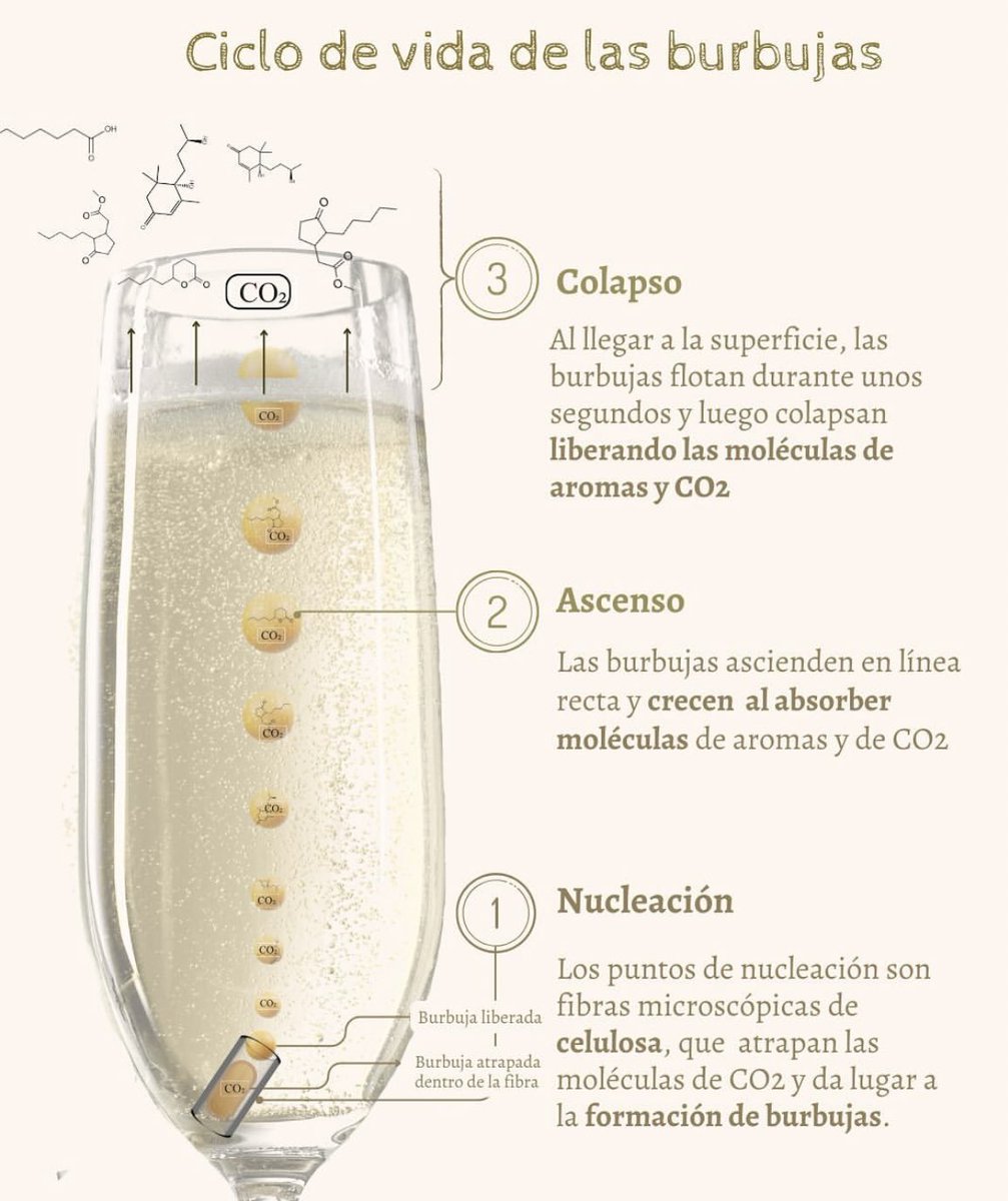 GuardianofWine's tweet photo. En una copa de #vino espumoso se producen increíbles fenómenos
físicos y químicos, https://t.co/Zx99iDolmW