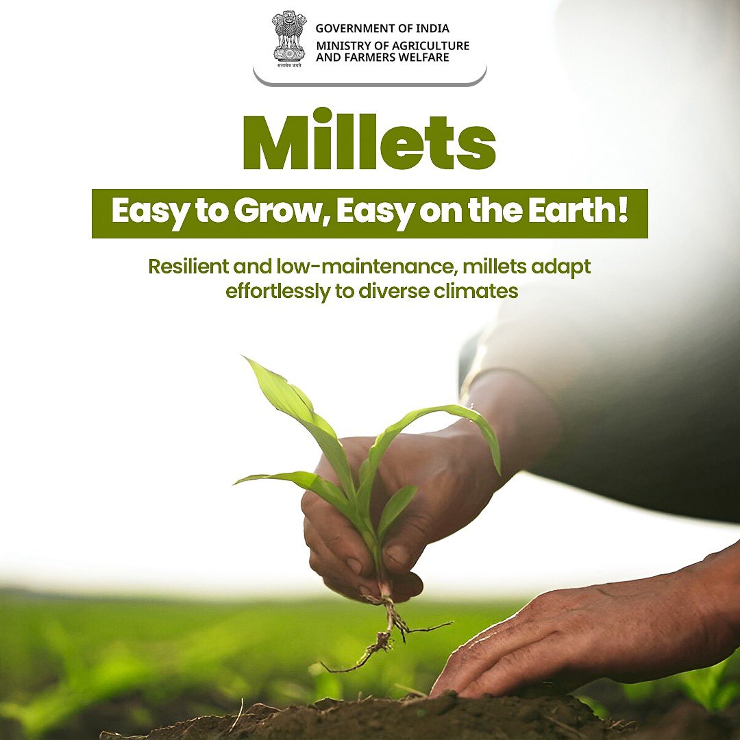 Less effort, more benefits! Millets grow strong with minimal care.
#IYM2023 #ShreeAnna #LowMaintenanceCrops