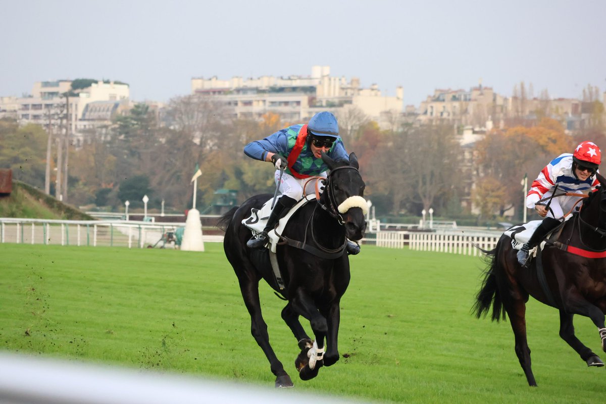 Horseturfpro 🐎 (@horseturfpro) on Twitter photo Retour du crack Losange Bleu ce dimanche <a href="/Hippo_Auteuil/">Hippodrome_Auteuil</a> 🤩
Retour gagnant selon vous ? Retour du crack Losange Bleu ce dimanche <a href="/Hippo_Auteuil/">Hippodrome_Auteuil</a> 🤩
Retour gagnant selon vous ?