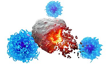 NanoApps Medical Inc - Curated by Amanda Scott (@nanoappsm) on Twitter photo Revolutionary Cancer Vaccine Targets All Solid Tumors
nanoappsmedical.com/revolutionary-…
c.c. <a href="/tantriclens/">Amanda Scott</a> <a href="/HeinzVHoenen/">Heinz V. Hoenen 🌻</a> <a href="/cellrepair777/">Frank Boehm🌻</a> Revolutionary Cancer Vaccine Targets All Solid Tumors
nanoappsmedical.com/revolutionary-…
c.c. <a href="/tantriclens/">Amanda Scott</a> <a href="/HeinzVHoenen/">Heinz V. Hoenen 🌻</a> <a href="/cellrepair777/">Frank Boehm🌻</a>