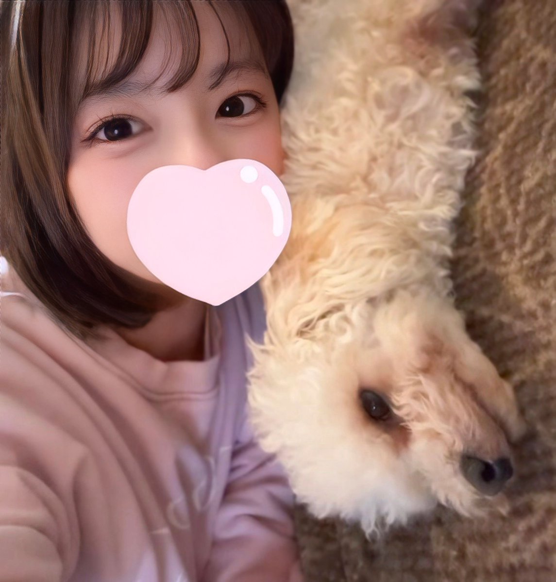 rino_230's tweet photo. わんことダラダラ日曜日🐶
皆んなは何して過ごしてた〜？？

4Kにしてみたらアレレ？🫣💓 https://t.co/RclSQ5Hdwe