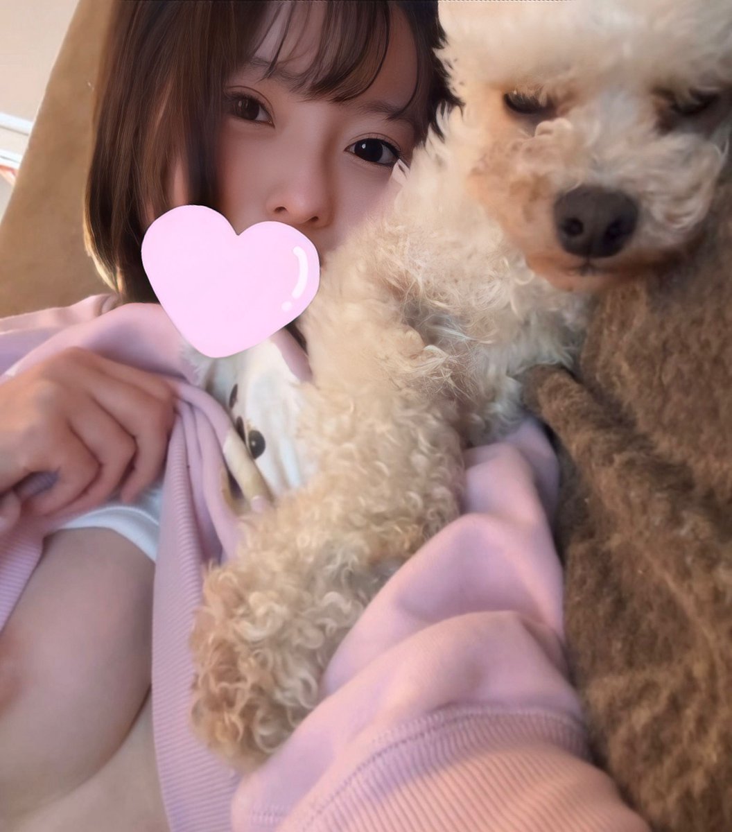 rino_230's tweet photo. わんことダラダラ日曜日🐶
皆んなは何して過ごしてた〜？？

4Kにしてみたらアレレ？🫣💓 https://t.co/RclSQ5Hdwe