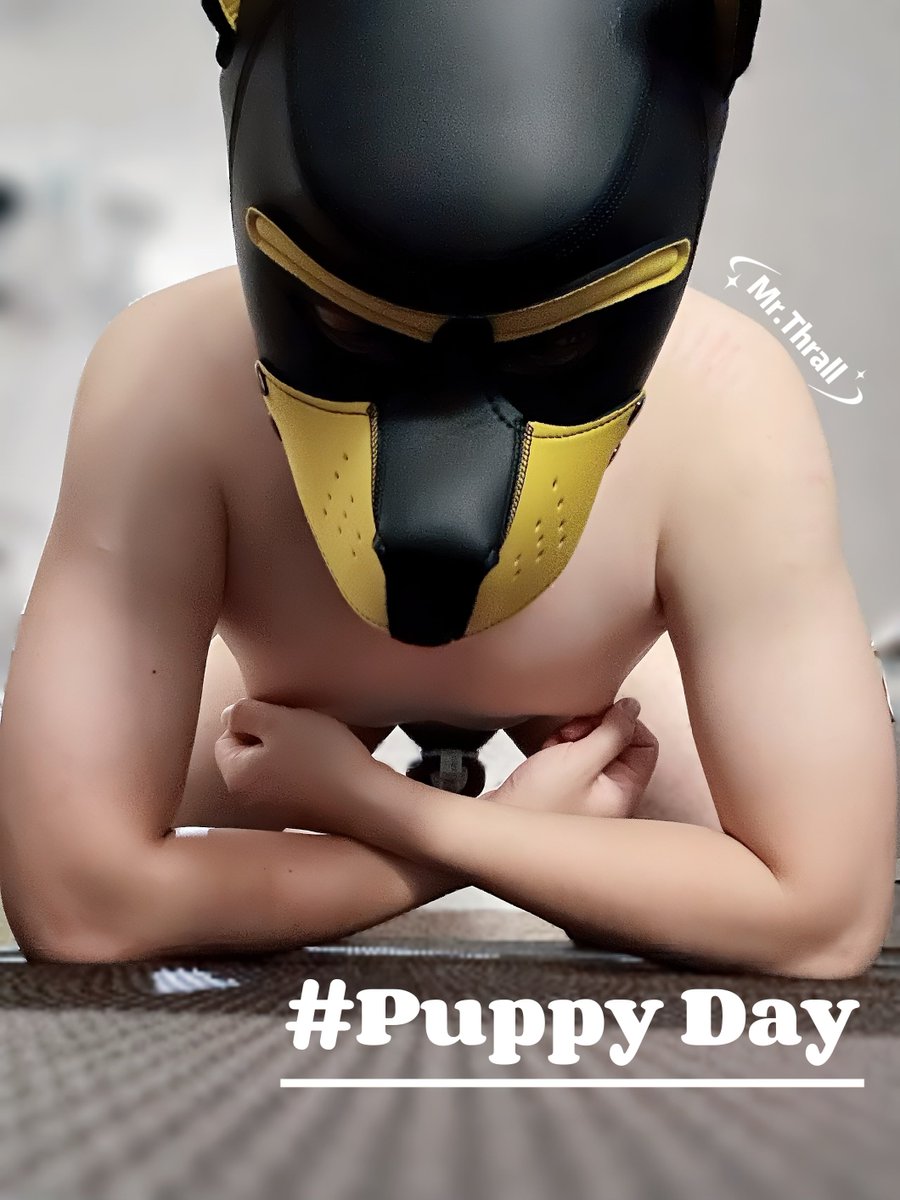 #国际小狗日 #PuppyDay 
国际小狗日记得爱你的小狗哦～