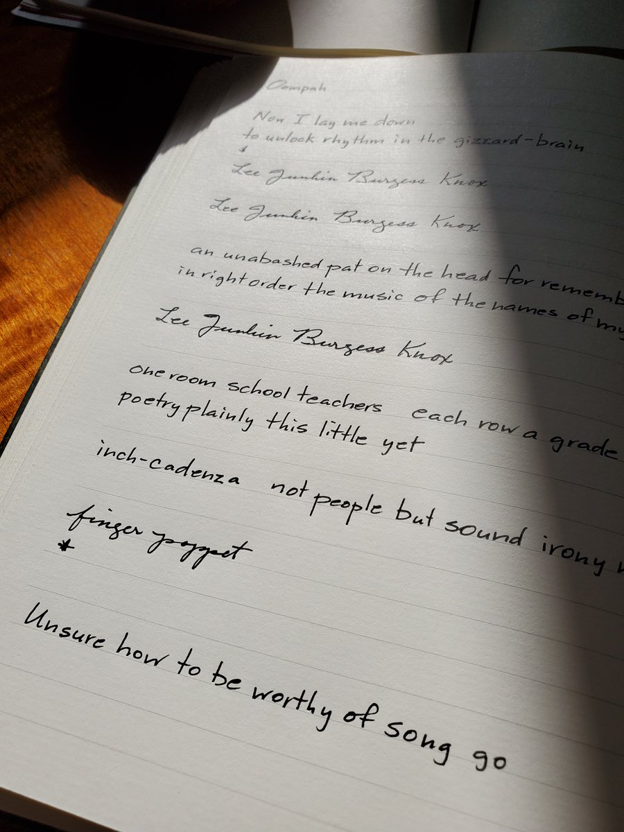 "Lee Junkin Burgess Knox

an unabashed pat on the head for remembering
in right order the music of the names of my first teachers"

#TodaysPoem #poetry
Oompah by Phil Hall from The Small Nouns Crying Faith (2013 <a href="/bookhugpress/">Book*hug Press</a>) tinyurl.com/2jtfs9u5
