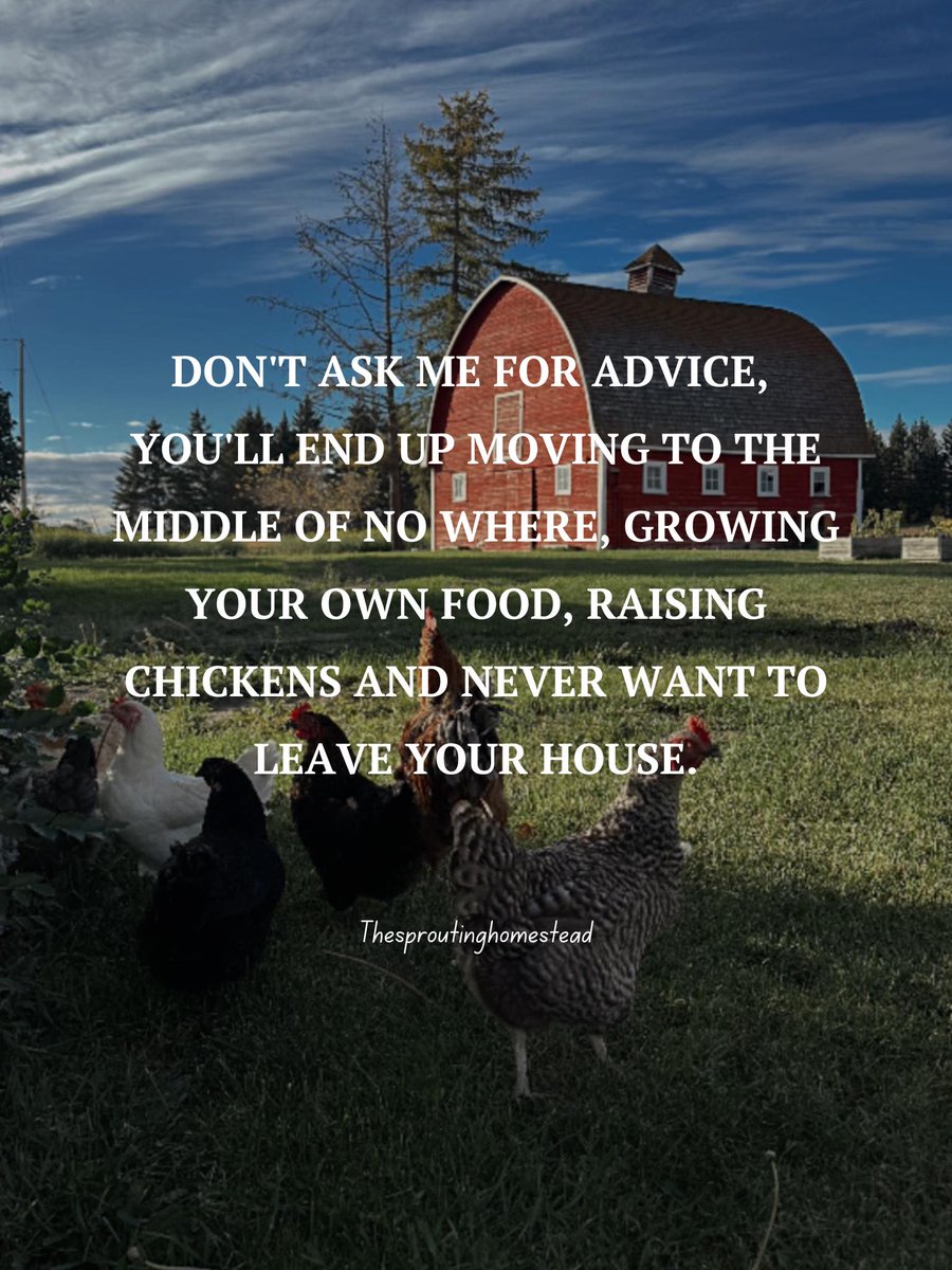 BFBushcraft's tweet image. Unless that’s what you want… 📷
.
.
#homestead #growyourownfood #scratchmade #chickens #farm #garden #gardening #baking #homesteading #nontoxicliving #selfsufficient #SelfSufficiency