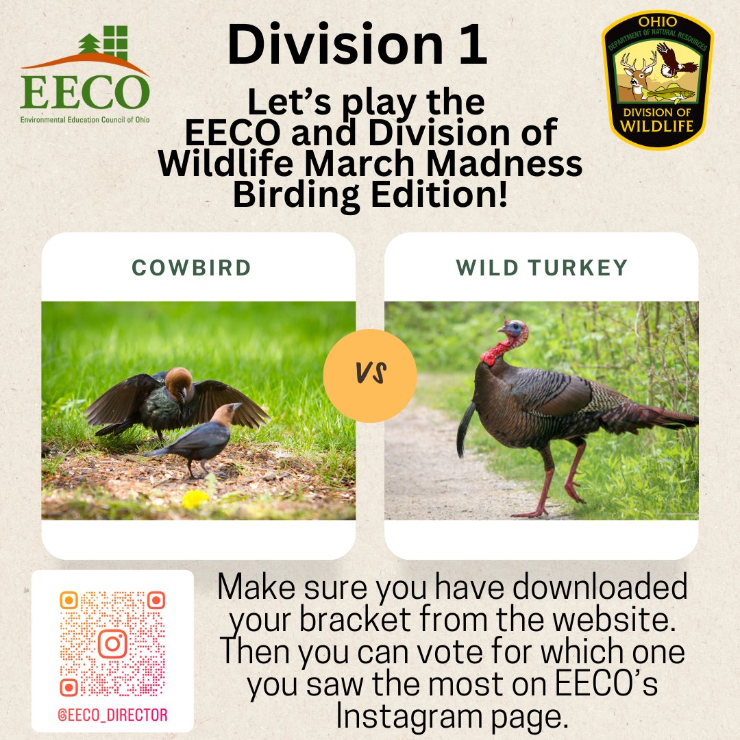 directorEECO's tweet image. Play along and let us know which bird you saw more by voting on our Instagram page. Brackets are due via email or Facebook by Monday, March 24th! 
To learn about our March Madness Bird Brackets, go to: eeco.wildapricot.org/page-1786411

#getoutside #marchmadnessbirdbracket #BirdingFun