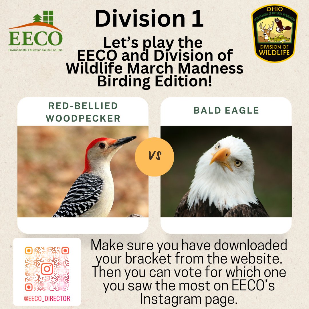 directorEECO's tweet image. Play along and let us know which bird you saw more by voting on our Instagram page. Brackets are due via email or Facebook by Monday, March 24th! 
To learn about our March Madness Bird Brackets, go to: eeco.wildapricot.org/page-1786411

#getoutside #marchmadnessbirdbracket #BirdingFun