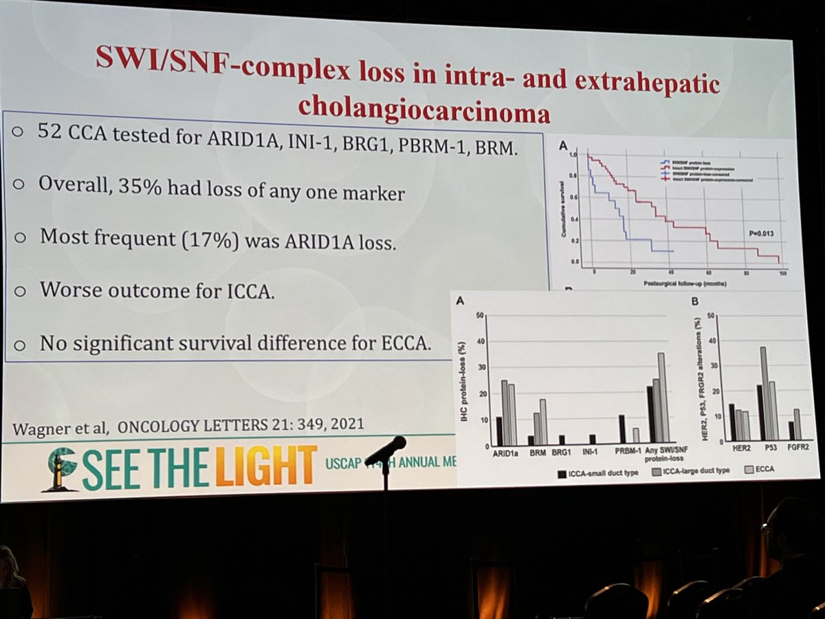 Monika Vyas tweet media