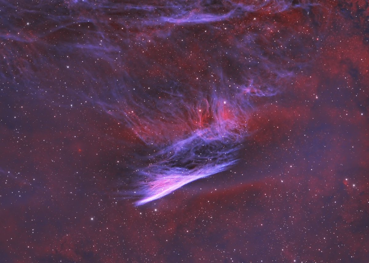 50 hours on the Pencil Nebula. Captured in HOO with the RASA 8 &amp; ASI533MM Pro. #astrophotography #pencilnebula