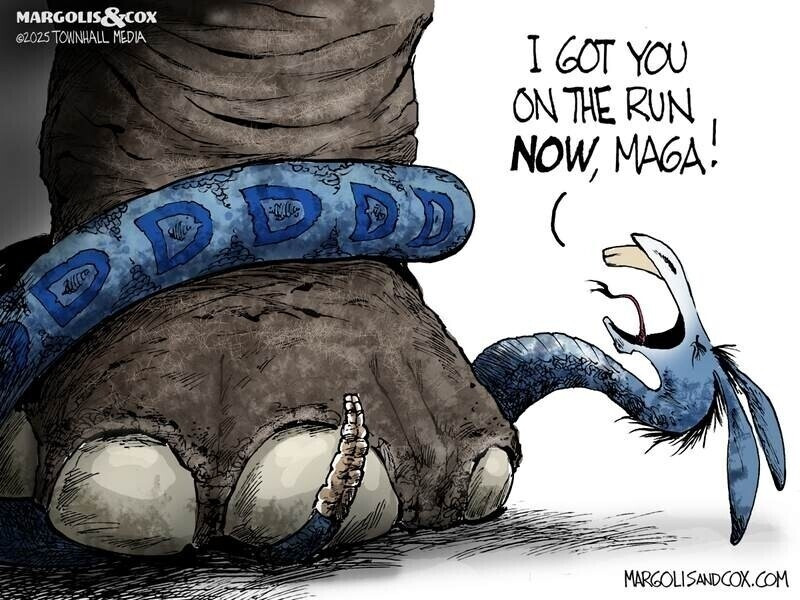 Asphaltica®️ Tony Fernandez tweet media