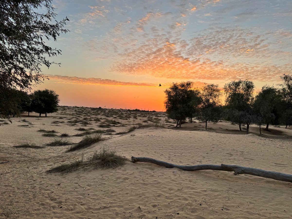 pklearn's tweet image. Beautiful #QudraDesert ❤️ 
Worth spending a night, camping in sand &amp;amp;waking up to vast desert, scenic lakes n chirping birds. 
Fun, clean, family/Group friendly &amp;amp; super safe.
If u r lucky, u see cute li'l deers running around. v did! 
#PARceptions
#LifeInDubai
#LoveLake
#SafeDubai