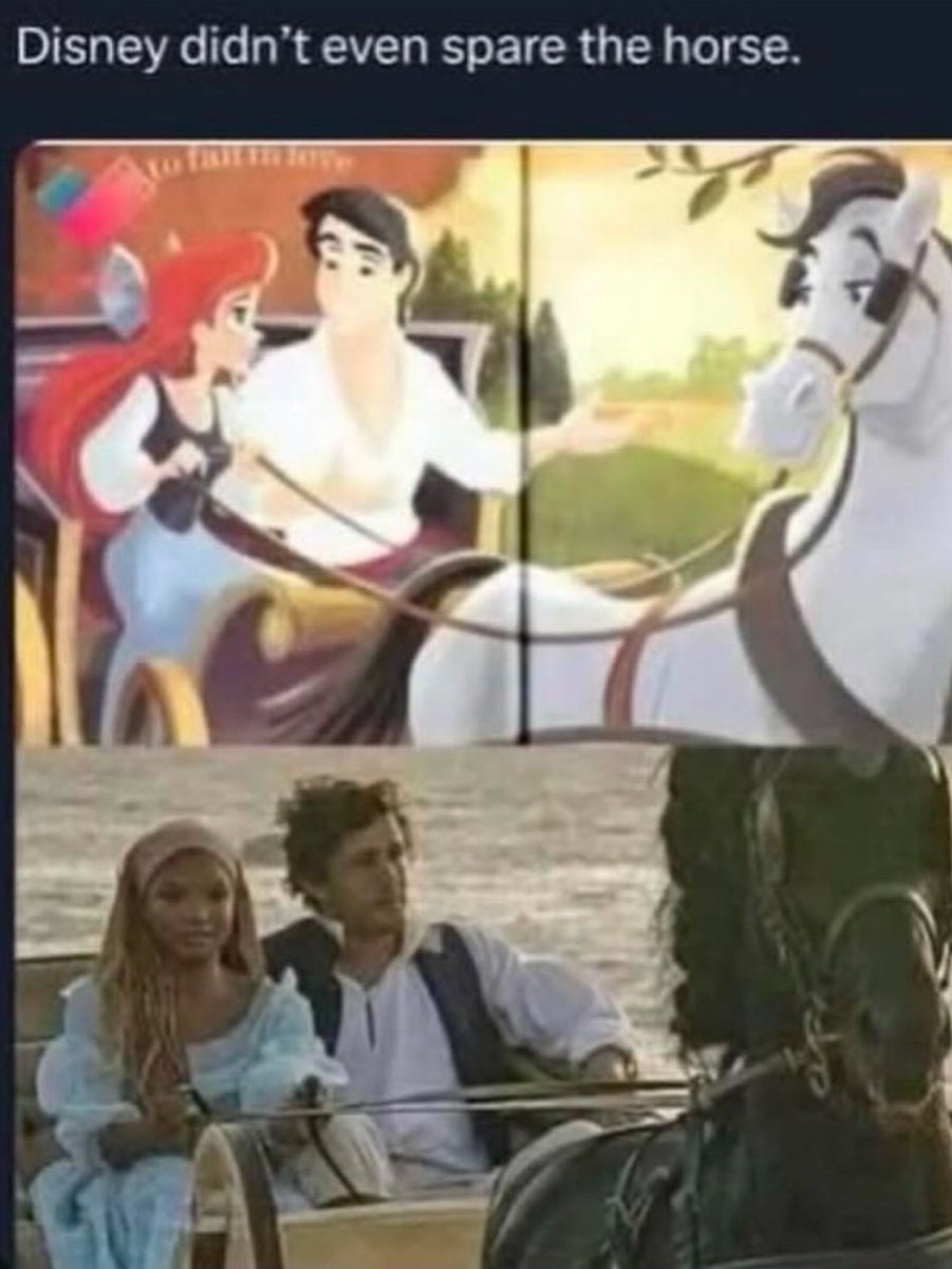 <a href="/GarbageHuman24/">Garbage Human</a>