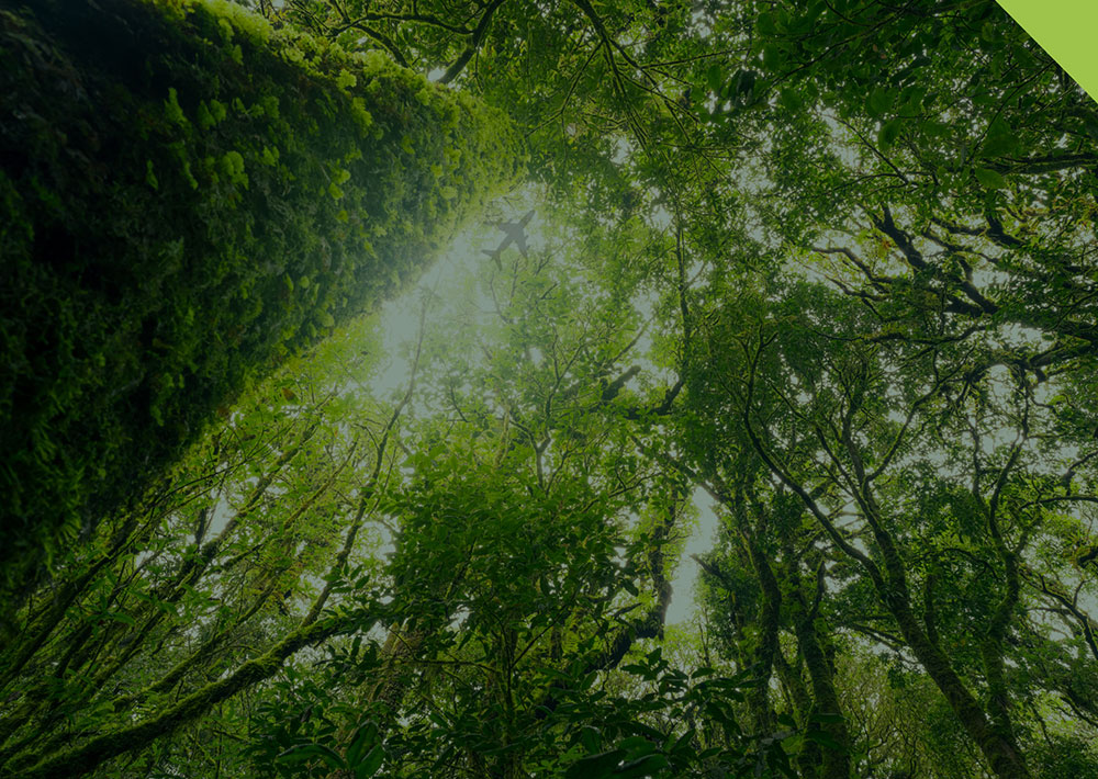 #CORSIA is poised to drive demand for #Article6-compliant #CarbonCredits, but regulatory gaps &amp; market fragmentation pose challenges. In a new paper, CACE &amp; HFW explore how to scale demand while ensuring integrity.
📄cace.gord.qa/wp-content/upl…
🔗cace.gord.qa/cace-news/cors…
@ICAO
