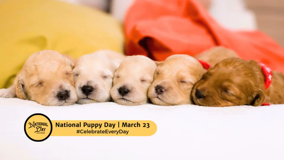 OfficialNatDay's tweet photo. National Days for March 23: 

- National Tamale Day
- National Chia Day
- National Melba Toast Day
- National Near Miss Day
- National Chip and Dip Day
- National Puppy Day

#CelebrateEveryDay
#NationalDayCalendar https://t.co/iwRmSnfCfe