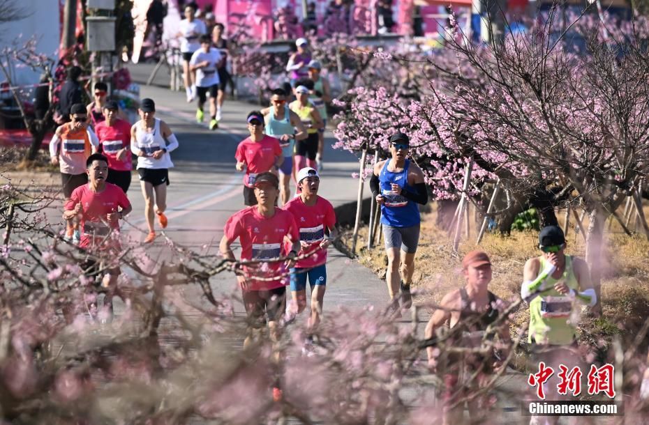 【浙江寧波奉化「桃花馬」開跑 萬名跑者感受春日浪漫】
3月22日，2025奉化馬拉松暨海峽兩岸樂跑嘉年華在「中國水蜜桃之鄉」#浙江 寧波奉化開跑。1.5萬名跑者在漫山桃花中感受春日浪漫。