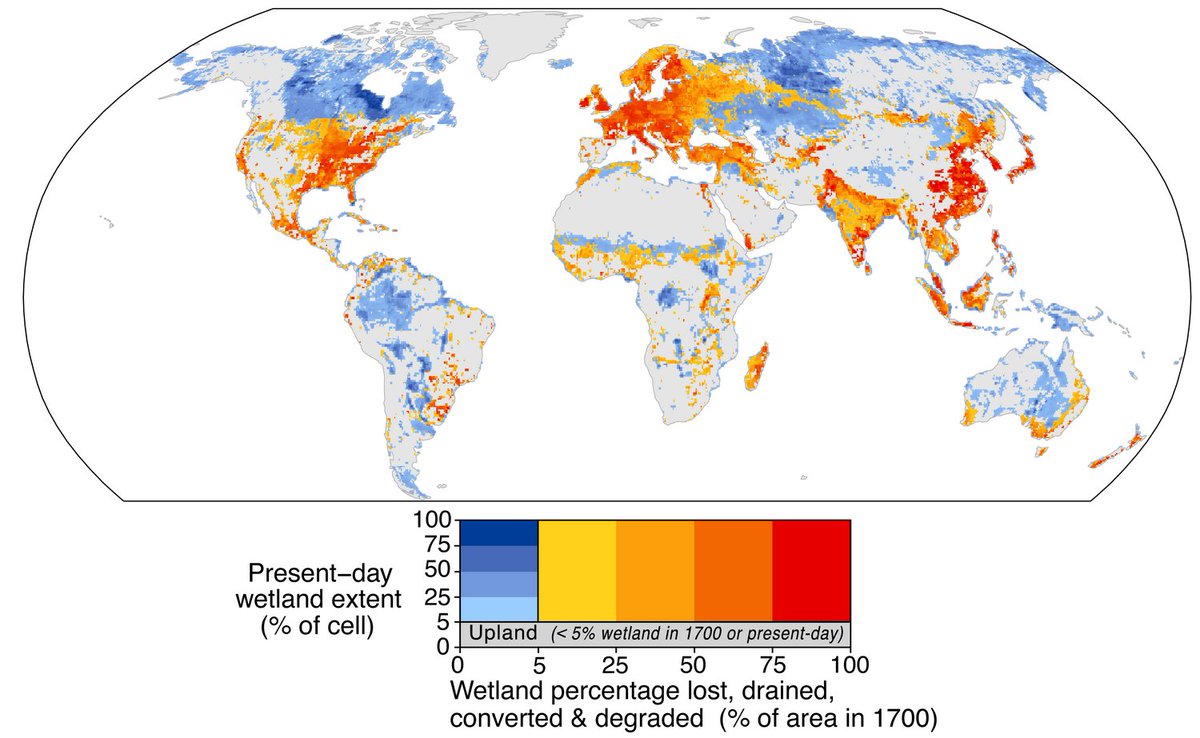 Global Wetland Loss