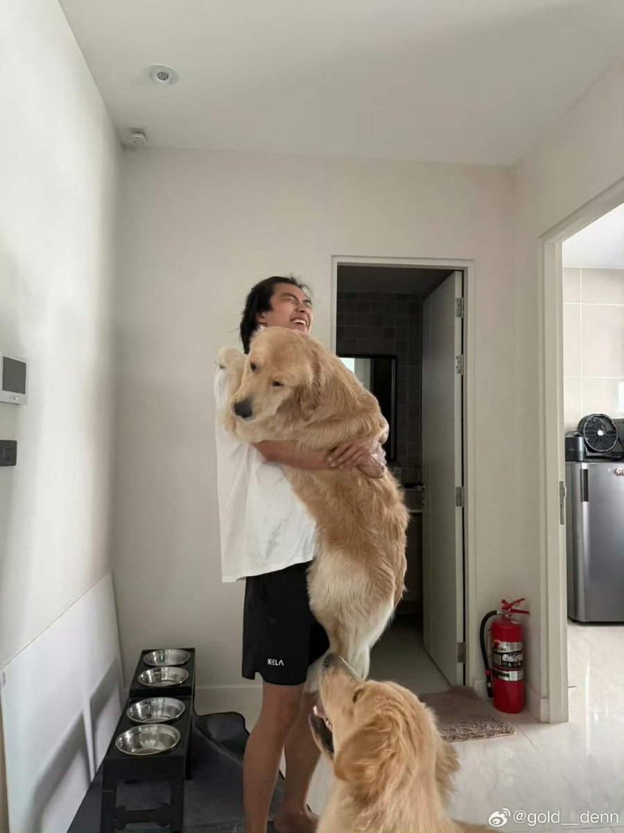 yangmen06226013's tweet photo. Happy Birthday to goldenn🥰
play with papa🧡
@ohmpawatt 

#ohmpawat #goldenn https://t.co/Dn5e2MShnk
