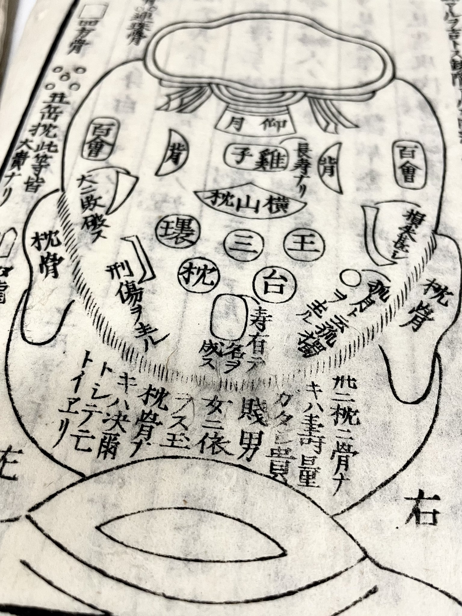 祖父江 慎（そぶえ しん） (@sobsin) / X