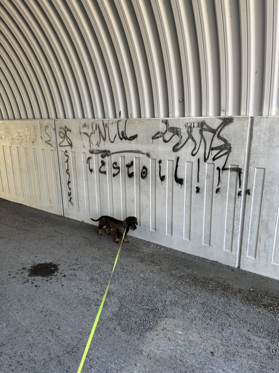 Saila Pajuniemi tweet media