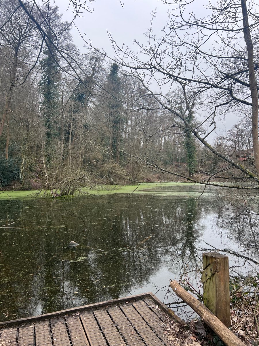 Dr. Lucy Gill-Simmen (@lgsimmen) on Twitter photo I am today years old, living in Oxford. Just yesterday for the first time visited the home of one of my favourite childhood authors <a href="/CSLewis/">C. S. Lewis</a>. The <a href="/CSLewis/">C. S. Lewis</a> nature reserve was a beautiful and peaceful surprise. #momdaughter #wanderingsouls I am today years old, living in Oxford. Just yesterday for the first time visited the home of one of my favourite childhood authors <a href="/CSLewis/">C. S. Lewis</a>. The <a href="/CSLewis/">C. S. Lewis</a> nature reserve was a beautiful and peaceful surprise. #momdaughter #wanderingsouls