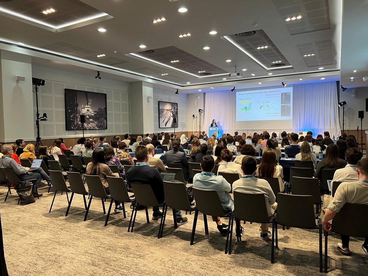 👏Thank you to all our speakers and participants, in Nice and online, for making the #ECNP Workshop on Applied #Neuroscience a success!

Looking forward to welcoming 100 more young scientists next year for exciting research and discussions.🧠🔬
📅Save the date: 12-15 March 2026