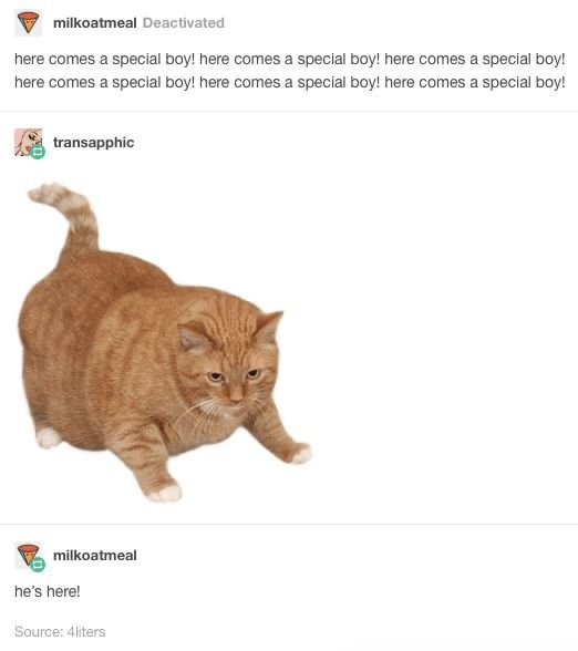WholesomeMeme's tweet photo. https://t.co/Yr2VGRq4hp
