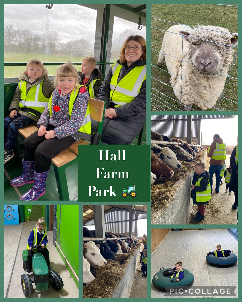 HMSWizardFS1's tweet image. HMS Wizard enjoyed a fantastic, fun filled day at Hall Farm Park!
@DeltaStrand @HMSWizardFS1 @YourSchoolGames #HallFarm
@DeltaTrust_Org #EYFSFun🚜🌱
