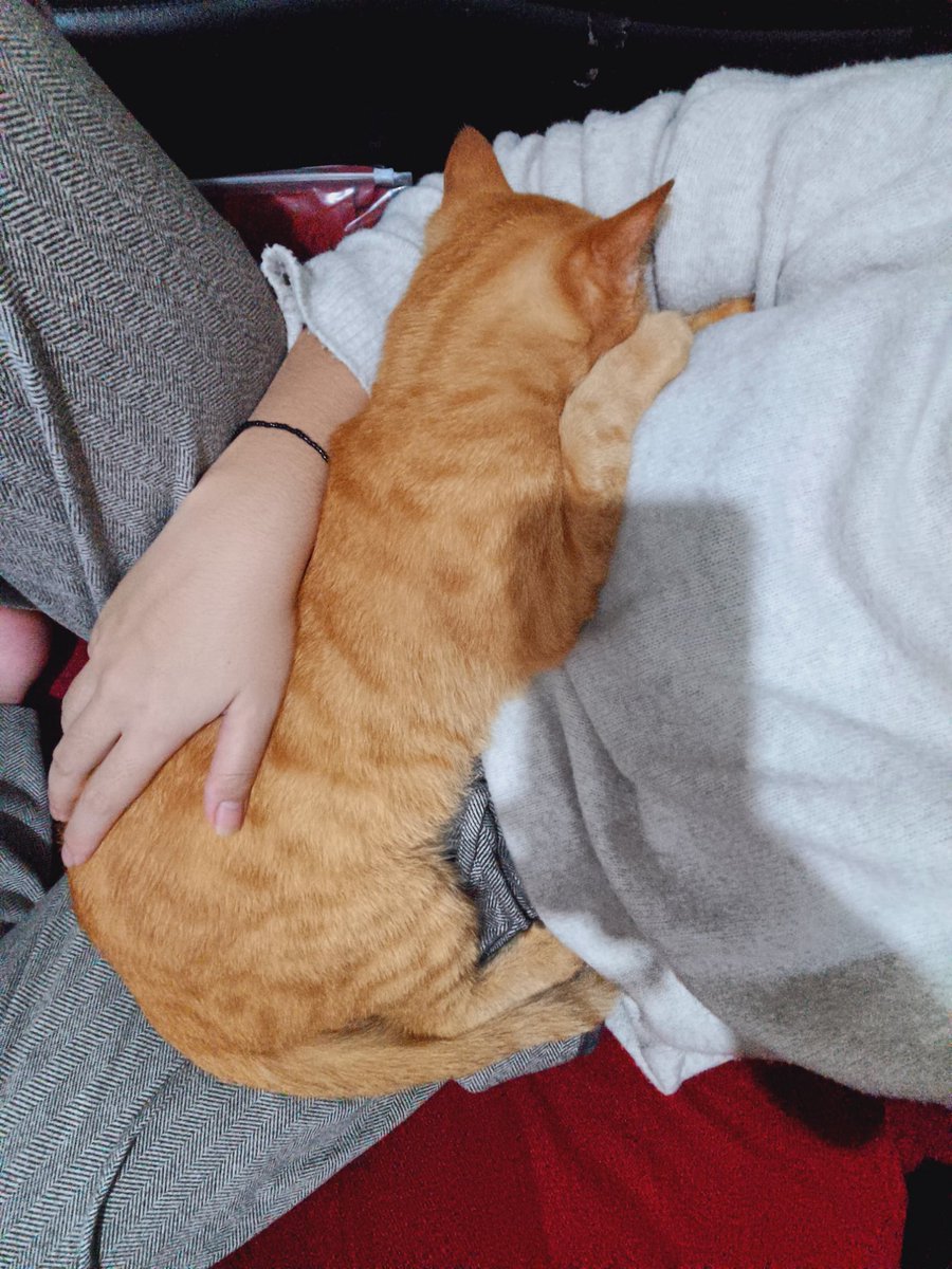 ini aku kemarin setelah teteh buka puasa, minta di lahun dan lanjut tidur (ngetek)