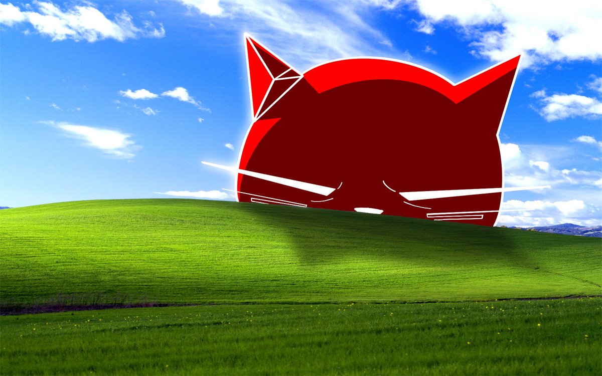 GM $TCAT enjoyers 🔴🐈‍⬛