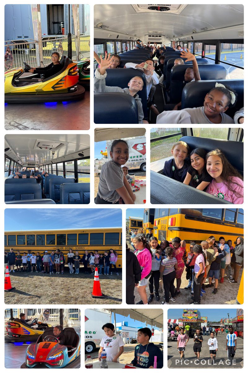 Stephanie Irish tweet media