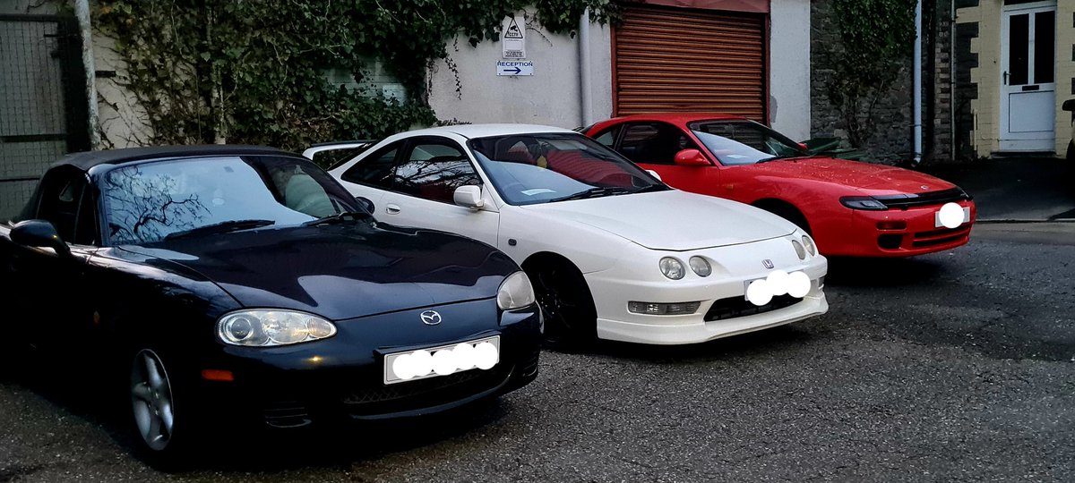 BeefuVT's tweet image. My meowta is making friends with the local wildlife!