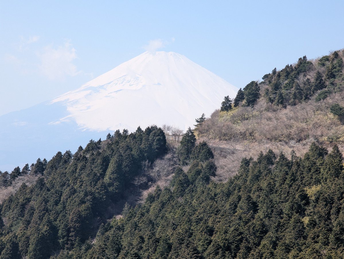 zhongcunshenwu's tweet photo. 箱根まで走ってきたー!雪化粧の富士山も見れたし大満足♪往復370km
#箱根
#芦ノ湖スカイライン
#富士山
#HarleyDavidson
#ハーレーダビッドソン
#ハーレーダビットソン
#ソフテイル
#softail
#TC96
#TC96B
#ファットボーイ
#ファットボーイロー
#FLSTF
#FLSTFB
#ビーチバー
#K&H
#サンダーヘッダー https://t.co/oAsb1W83i6