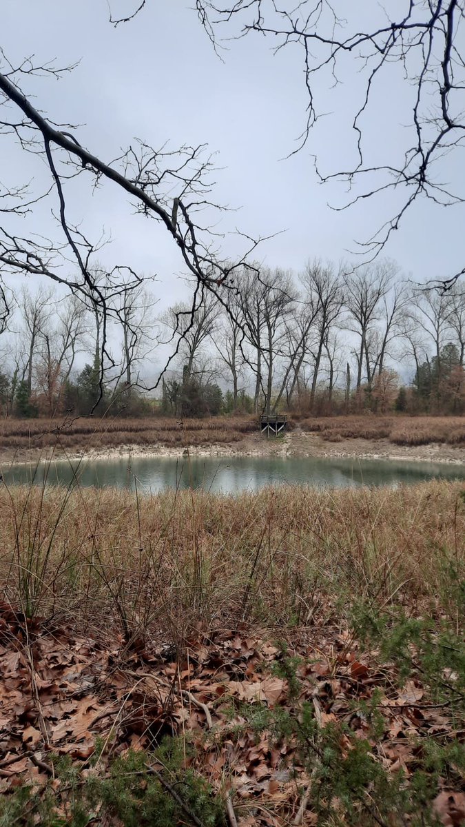 avazquezballo's tweet image. Poc a poc es va emplenant.

Estany de Basturs 

23/03/2025

@meteocat @MeteoMauri @eloicordomi @TomasMolinaB 

Adriana Vázquez