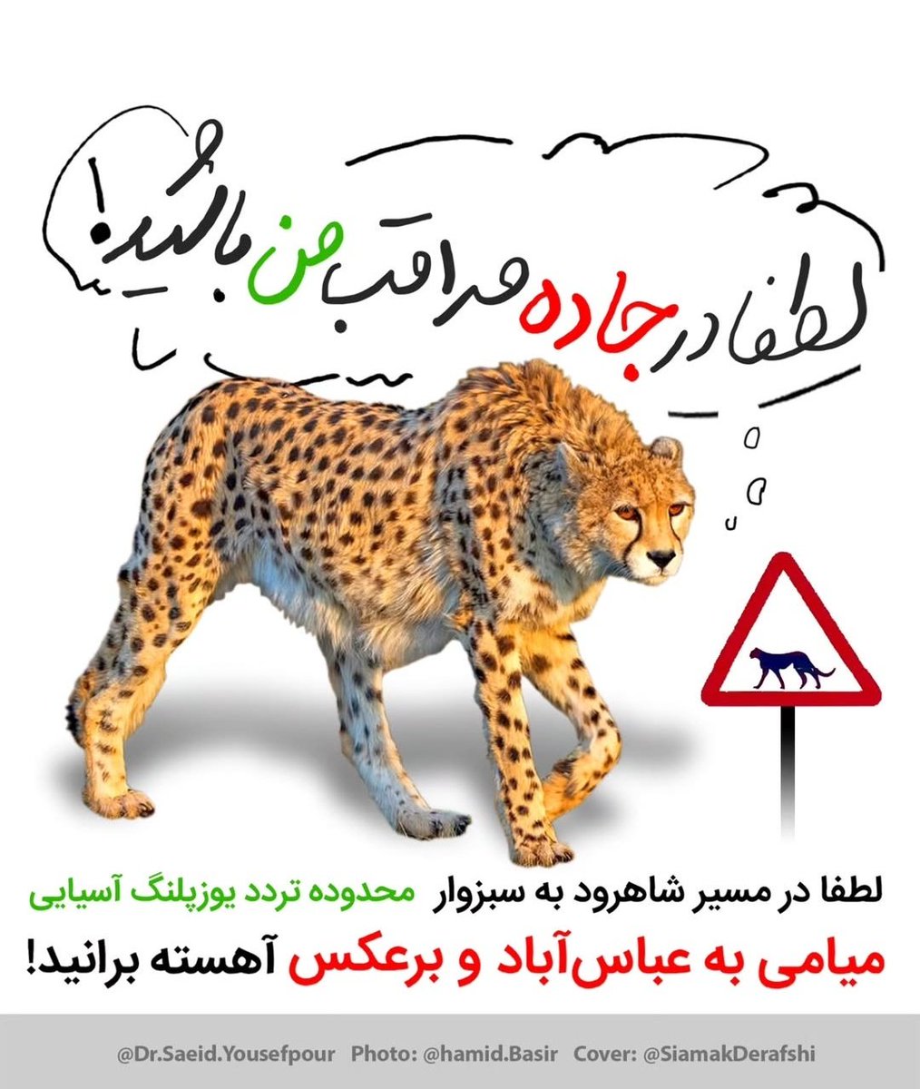 تنها ۱۷ عدد یوزپلنگ در ایران باقی مانده است