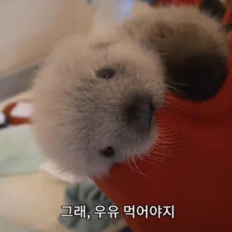 PS_ool's tweet photo. 저 살아잇더요 https://t.co/1oQI7oLtyH