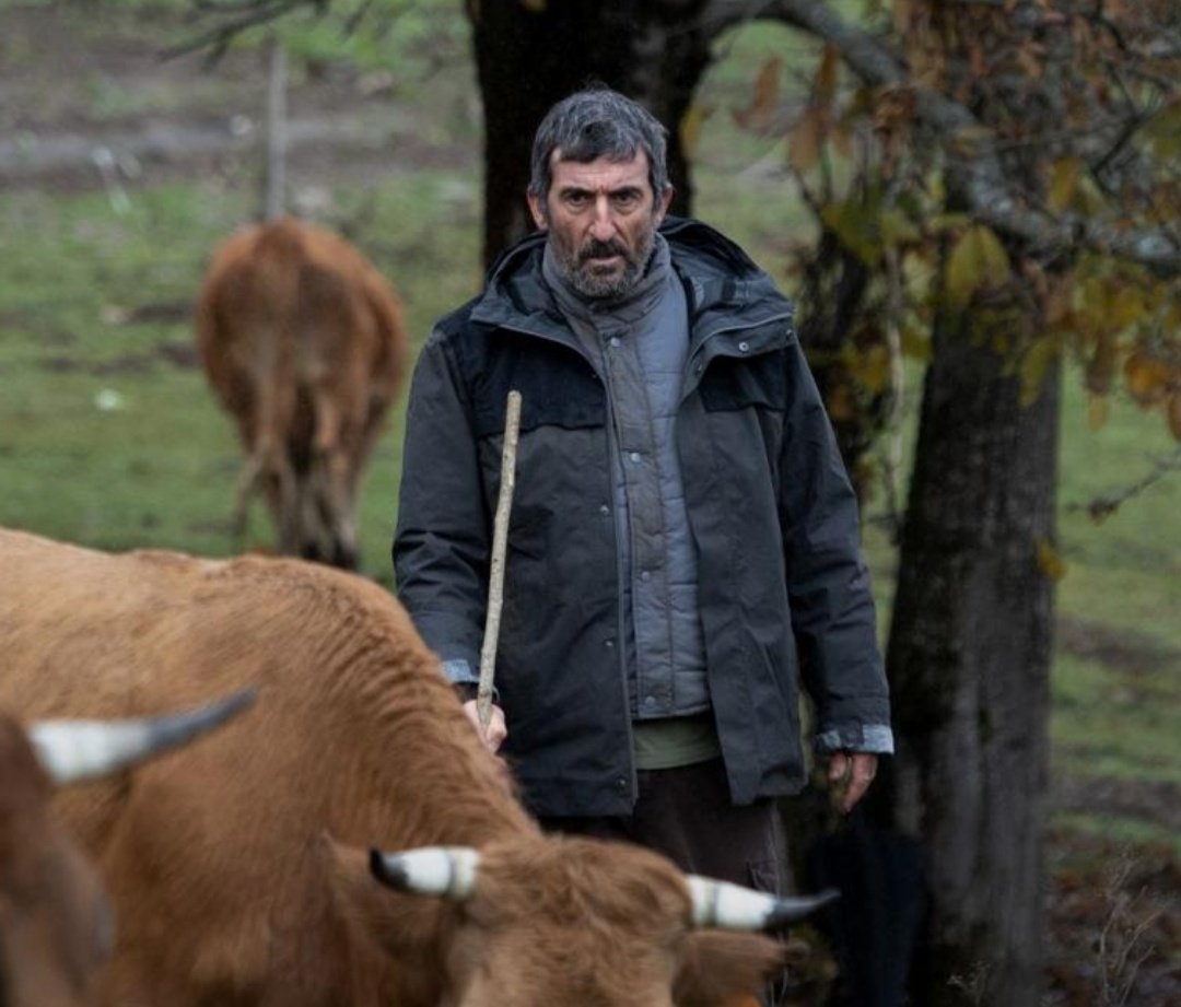 Henry Cavill cuando ya se haya empapado de nuestra idiosincrasia tras dos meses viviendo en Lugo