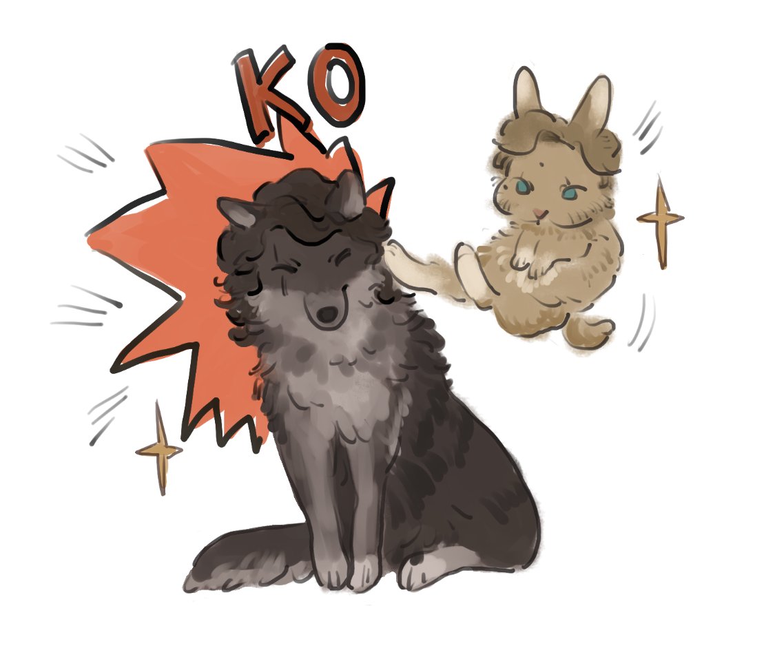 We all know who's the boss😎
#obikin