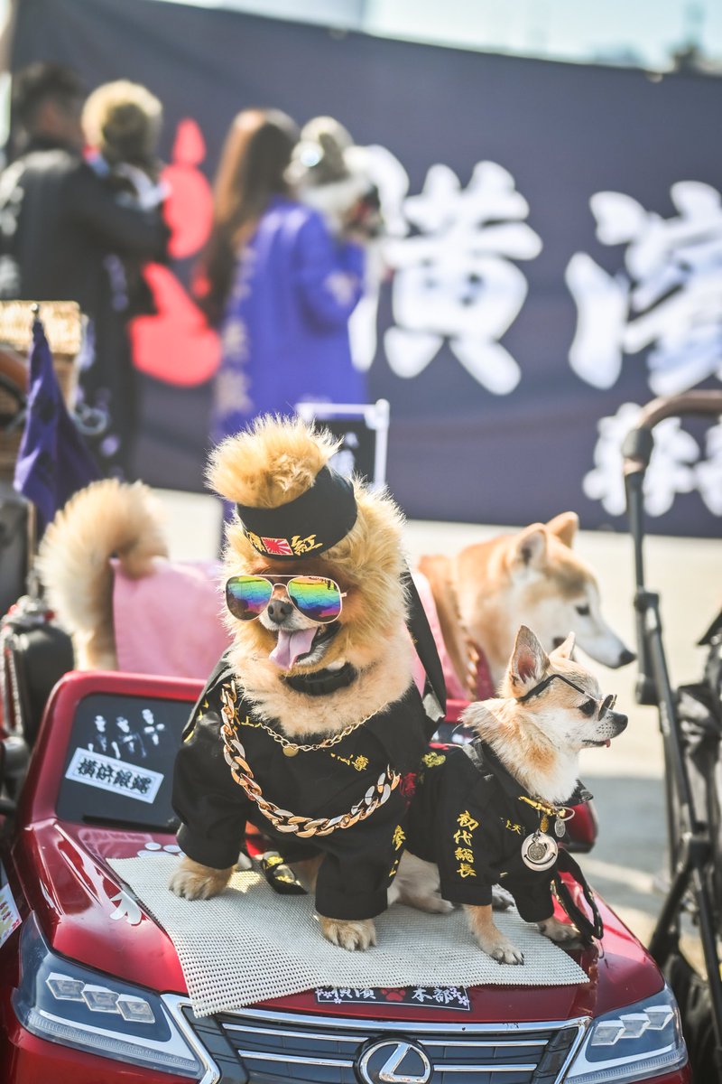 Kaori様 かぶせ長財布 / FUJITAKA（フジタカ）公式 / オイルコードバン