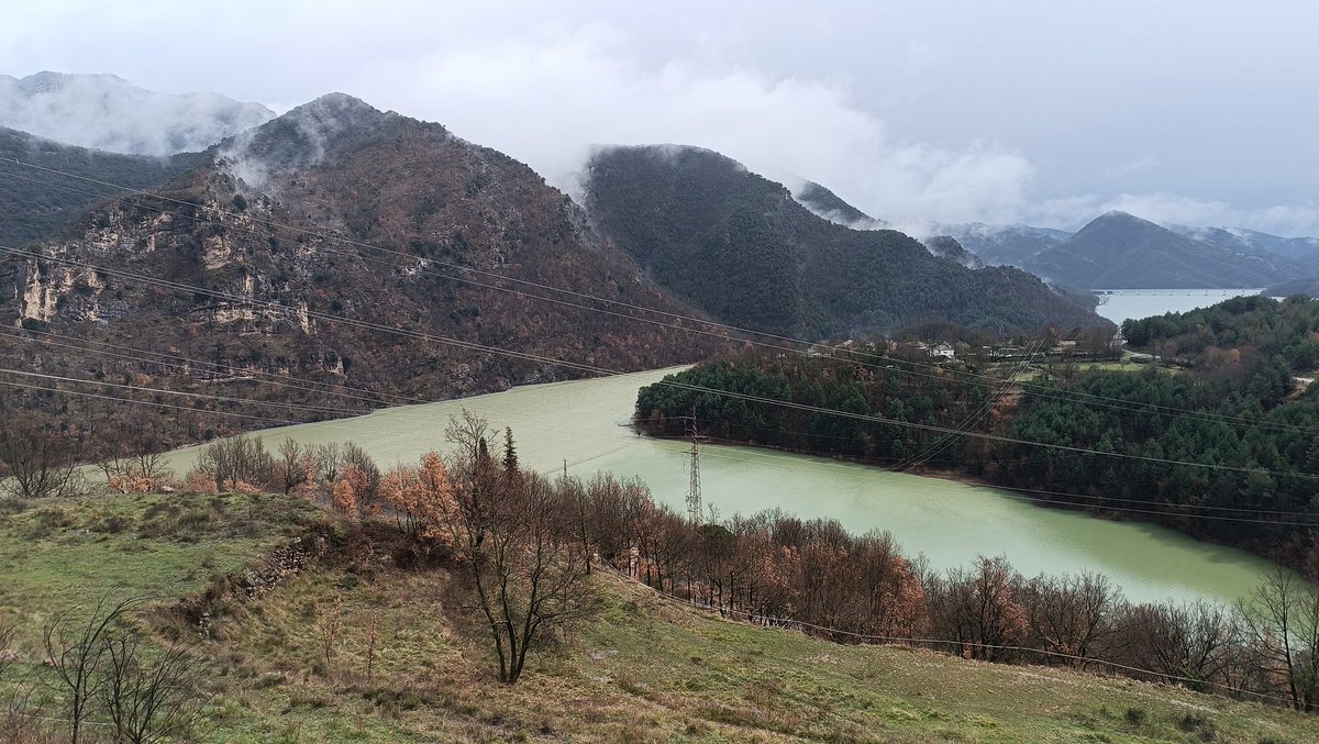 Manel Cascante tweet media