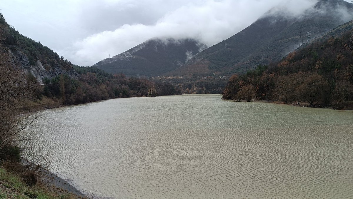 Manel Cascante tweet media