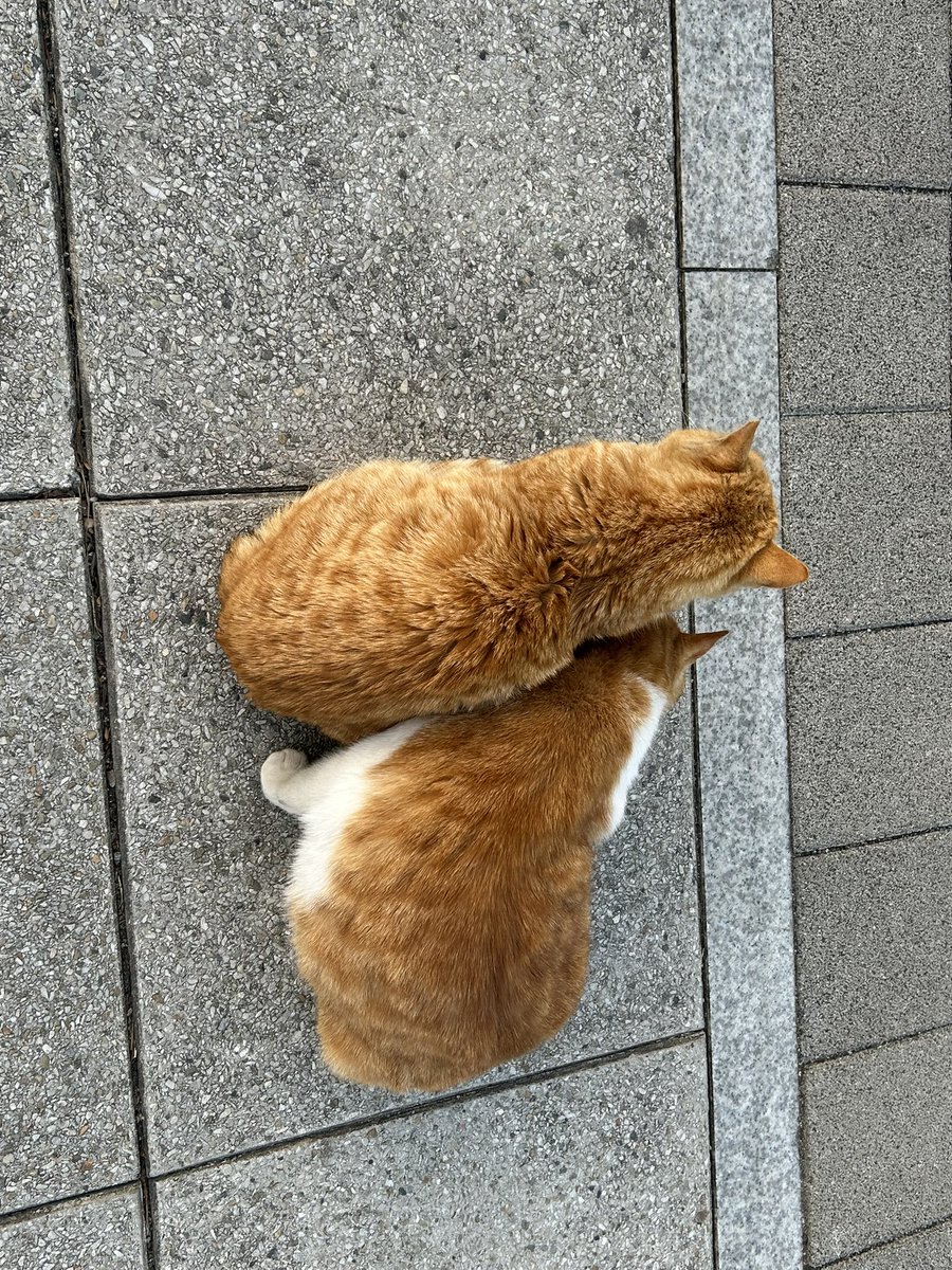 녹차🎗️(상태: 종강언제 와?) tweet media