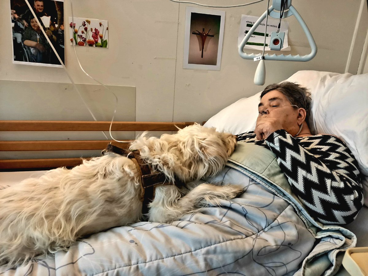 Toestand's tweet image. Gister wat liefde van Saf komen brengen. Had ze wel nodig. #Kalorama