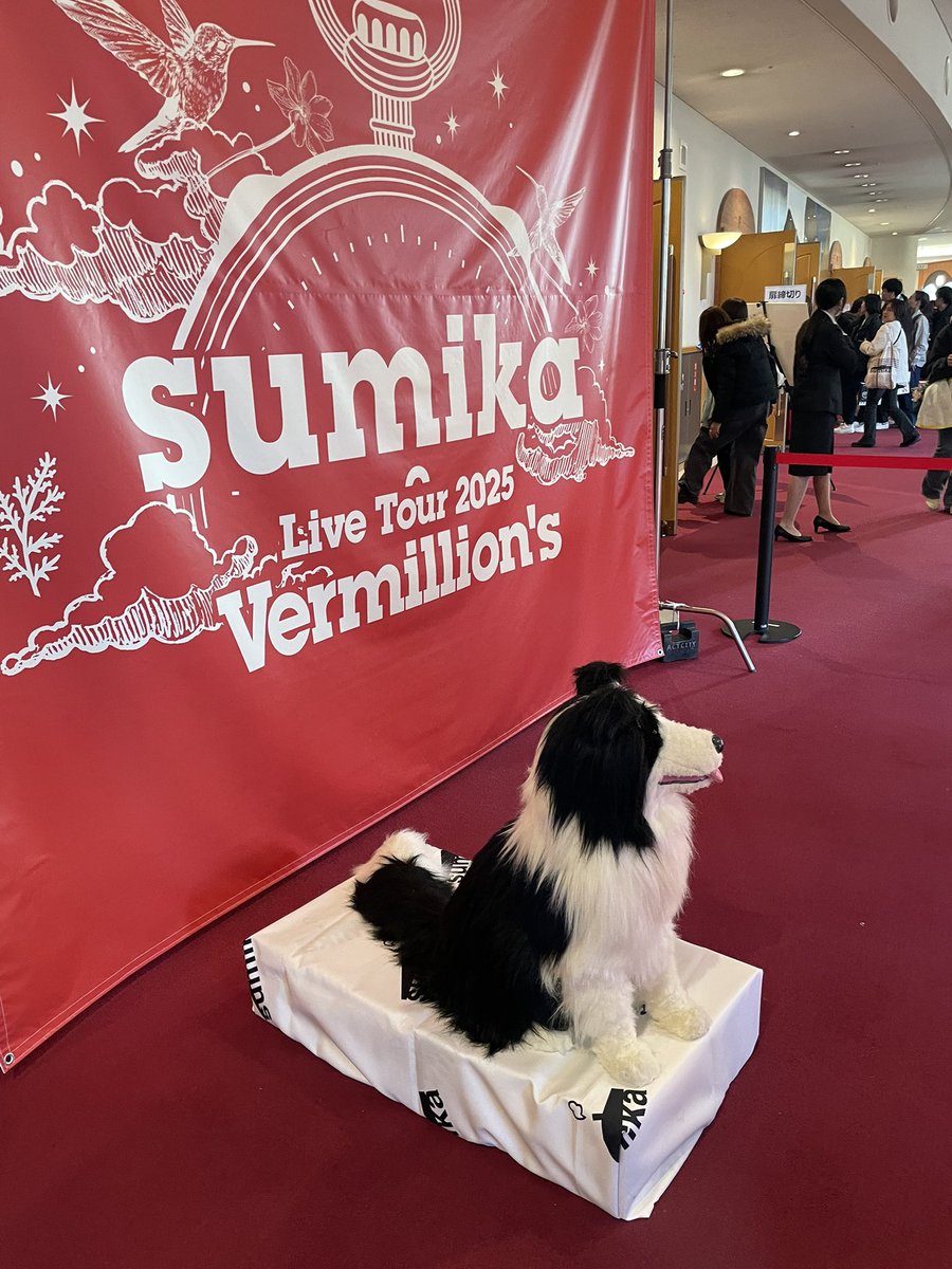 55_vanilla's tweet photo. sumika初ワンマン楽しか��た(  ; ᯅ ; ｀)♩ https://t.co/sfpwSNQ4LY