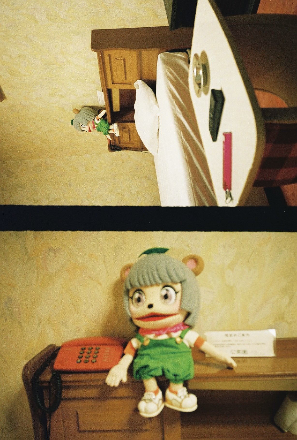 ぽんぽこたぬき ブレスレット 甲賀流忍者ぽんぽこ🍃たぬき！ on X: 