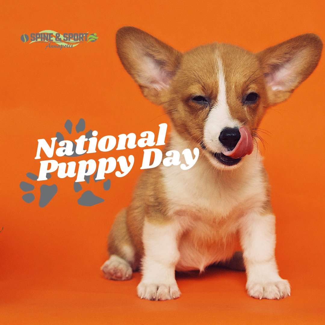 Today, we celebrate the unconditional love and joy that puppies bring to our lives. Share a picture of your puppy. It will make our day!