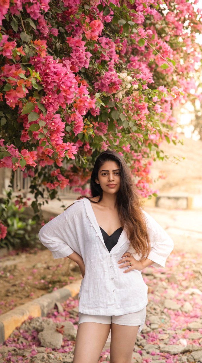 Caught in a bougainvillea daydream 🌸

#bandhavisridhar