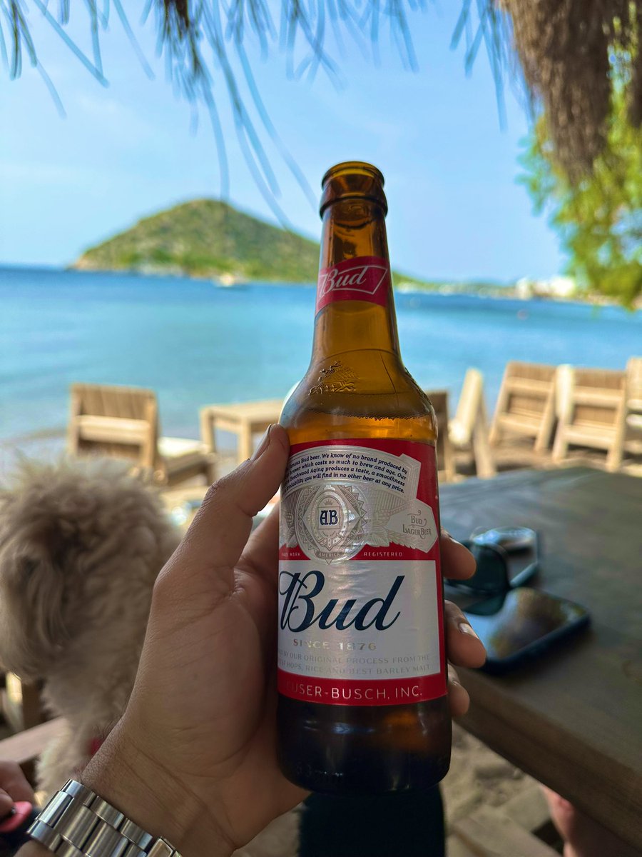 IBB Başkanı olundu ✅
Cezaevine girildi  ✅
Mantıken sırada Cumhurbaşkanlığı var

Bodrum Günlüklerimden…