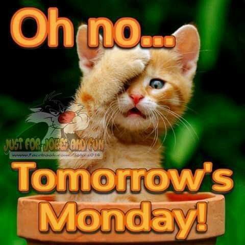 Amelia (@karrasamelia5) on Twitter photo <a href="/Flight2Faith549/">๐๐Flight2Faith549๐๐ ( TheWifearoo)</a> <a href="/Mopor777/">๐ฆ
โ๏ธo๐
ฟ๏ธโ#ALLLivesMatterโ</a> <a href="/goatgirl1976/">GoatGirl Buf</a> <a href="/HappyGi31775100/">T J Levi.. formerly Happy Gilmore</a> <a href="/MTumarkin/">M Tumarkin</a> <a href="/autumnsdad1/">Chris from Massachusetts AKA TommyboyTrader</a> <a href="/revmaddog3/">Rev. MAD Dog ๐บ๐ธ</a> <a href="/KarenHopgood1/">Hoppy-K ๐ถ๐ธ๐ ๐ณ๐คฃ ๐ฅ๐ถ๐๐พ๐๏ธโฝ๐</a> <a href="/floweryardagain/">Sally</a> <a href="/RobertBradleyJ2/">Robert Bradley Jones ๐บ๐ธ</a> <a href="/Rogerbaer2010/">Roger Baer</a> <a href="/sunrinder13/">Marathon Runner Surinder Fowler ๐ฌ๐ง</a> <a href="/TinaHarley883/">Tina</a> <a href="/hakesaw/">๐บ๐ธ๐งDr. Rev. Hakesaw๐ง๐บ๐ธ</a> <a href="/_DamnBucky/">๐ป๐๐๐๐น๐ฆ๐๐๐ช</a> <a href="/qfd_bruce/">๐บ๐ธ๐จ๐ฆDave or Bruce Still Deboosted๐จ๐ฆ ๐บ๐ธ</a> <a href="/RED_IN_PA/">๐บ๐ธ๐จ๐ฟ๐ธ๐ช PENNSYLVANIA IS TRUMPโข</a> <a href="/ZeTeamZ/">Zey</a> <a href="/dparkbaer1230/">Dee</a> <a href="/DontTreadOnUS/">Dont TreadOnMe ๐บ๐ธ</a> <a href="/DonOrange80/">Don Orange๐๐บ๐ฒ</a> Good morning sis <a href="/Flight2Faith549/">๐๐Flight2Faith549๐๐ ( TheWifearoo)</a> <a href="/Mopor777/">๐ฆ
โ๏ธo๐
ฟ๏ธโ#ALLLivesMatterโ</a> <a href="/goatgirl1976/">GoatGirl Buf</a> <a href="/HappyGi31775100/">T J Levi.. formerly Happy Gilmore</a> <a href="/MTumarkin/">M Tumarkin</a> <a href="/autumnsdad1/">Chris from Massachusetts AKA TommyboyTrader</a> <a href="/revmaddog3/">Rev. MAD Dog ๐บ๐ธ</a> <a href="/KarenHopgood1/">Hoppy-K ๐ถ๐ธ๐ ๐ณ๐คฃ ๐ฅ๐ถ๐๐พ๐๏ธโฝ๐</a> <a href="/floweryardagain/">Sally</a> <a href="/RobertBradleyJ2/">Robert Bradley Jones ๐บ๐ธ</a> <a href="/Rogerbaer2010/">Roger Baer</a> <a href="/sunrinder13/">Marathon Runner Surinder Fowler ๐ฌ๐ง</a> <a href="/TinaHarley883/">Tina</a> <a href="/hakesaw/">๐บ๐ธ๐งDr. Rev. Hakesaw๐ง๐บ๐ธ</a> <a href="/_DamnBucky/">๐ป๐๐๐๐น๐ฆ๐๐๐ช</a> <a href="/qfd_bruce/">๐บ๐ธ๐จ๐ฆDave or Bruce Still Deboosted๐จ๐ฆ ๐บ๐ธ</a> <a href="/RED_IN_PA/">๐บ๐ธ๐จ๐ฟ๐ธ๐ช PENNSYLVANIA IS TRUMPโข</a> <a href="/ZeTeamZ/">Zey</a> <a href="/dparkbaer1230/">Dee</a> <a href="/DontTreadOnUS/">Dont TreadOnMe ๐บ๐ธ</a> <a href="/DonOrange80/">Don Orange๐๐บ๐ฒ</a> Good morning sis