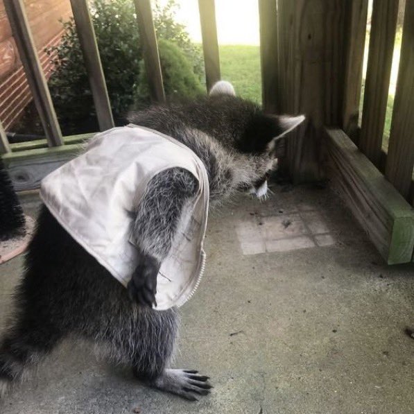 즌수랑 컵떡볶이 사먹기로 했는데
500원 잃어버려서 바닥만 보는 영중구리